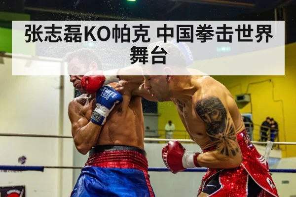 boxing knockout punch